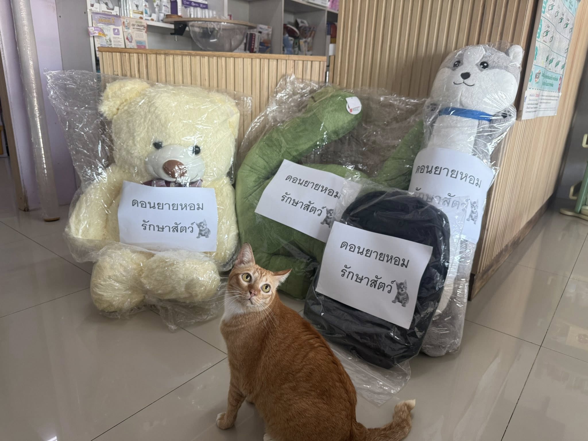 กิจกรรมวันเด็ก - ของขวัญจากคลินิก